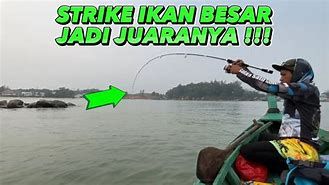 Mancing Mania Saya Kalah Skill